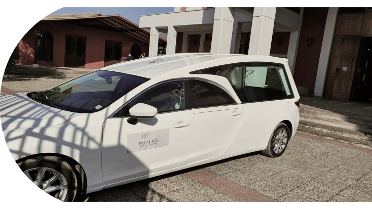 Servicio de traslado image